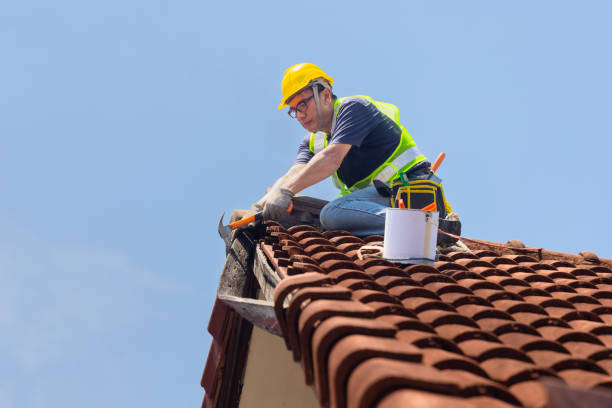 Professional Roofing in Biloxi, MS